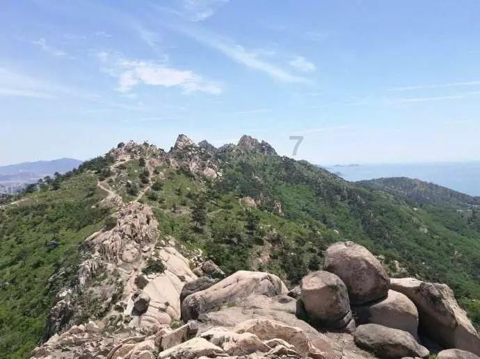 粗山药怎么做好吃游戏画面